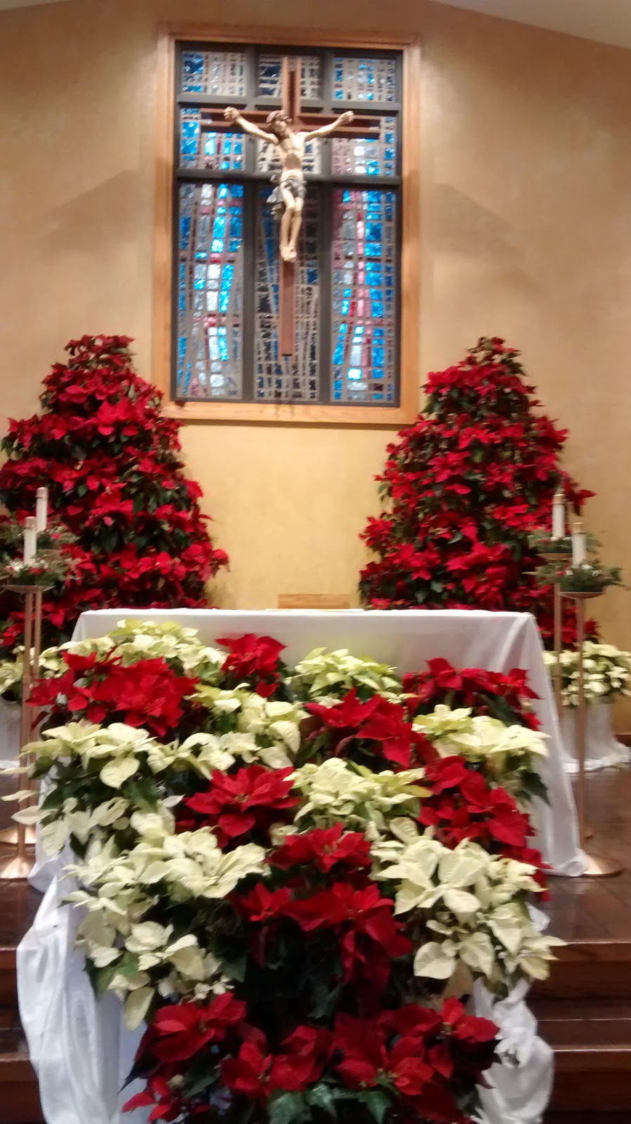 St. Mary Catholic Church | 15520 N Blvd, Tampa, FL 33613, USA | Phone: (813) 961-1061