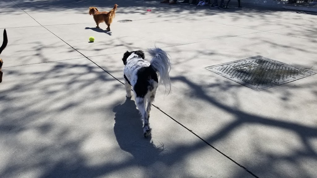 Carl Schurz Park Dog Runs | Carl Schurz Park, New York, NY 10028, USA | Phone: (212) 639-9675