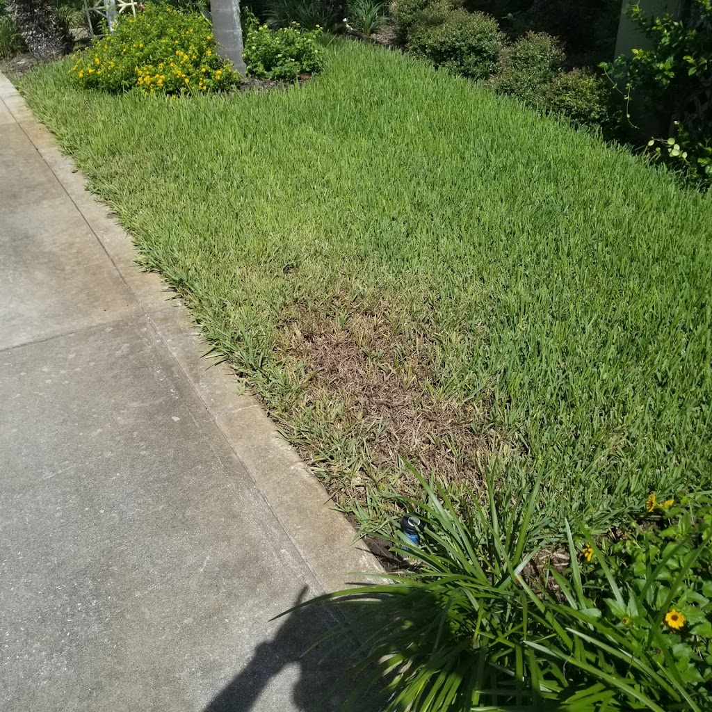 Micklers Pest & Lawn Services | 11341 Distribution Ave E, Jacksonville, FL 32256, USA | Phone: (904) 292-0001