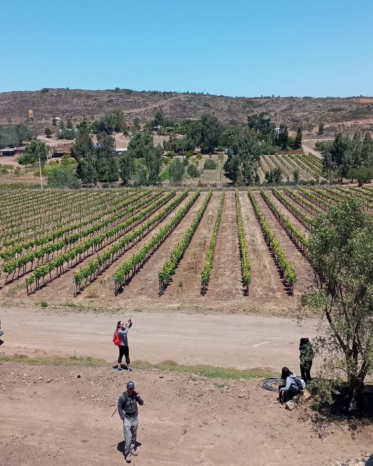 Rancho las chichihuas | Carretera Libre Tijuana Km. 80, Ejido Ruiz Cortines, 22766 Ensenada, B.C., Mexico | Phone: 686 554 4612