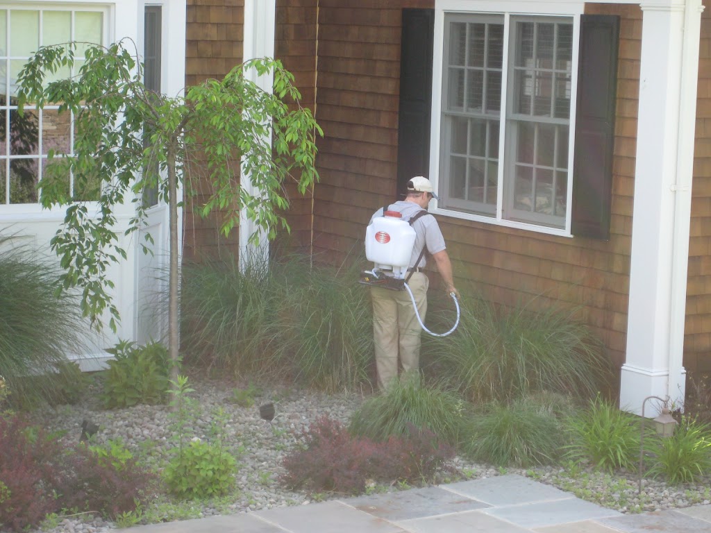 Regal Pest Management | 10 St Charles St, Thornwood, NY 10594, USA | Phone: (914) 674-1102