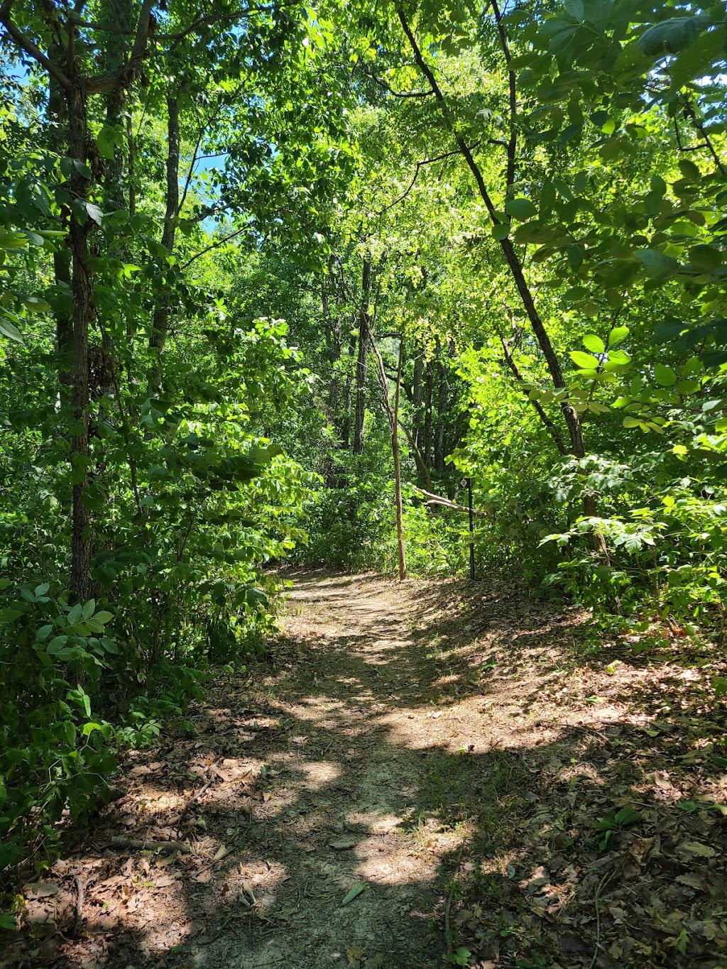 Lily Mountain Nature Preserve | 551 Little Rock Rd, Irvine, KY 40336, USA | Phone: (859) 582-9373