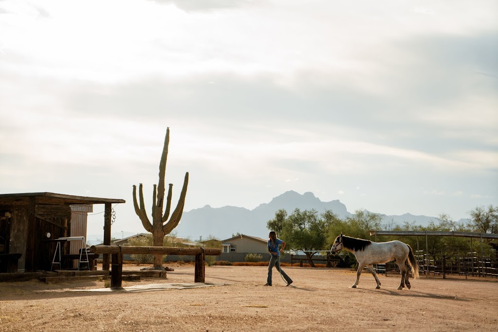 Superstition Stables Horse Boarding | 2151 N Warner Dr, Apache Junction, AZ 85120 | Phone: (480) 620-3253