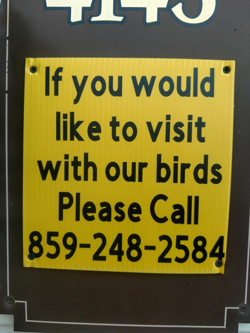 Parrots Nest And Pet Supplies | 4143 Richmond Rd, Irvine, KY 40336, USA | Phone: (859) 248-2584