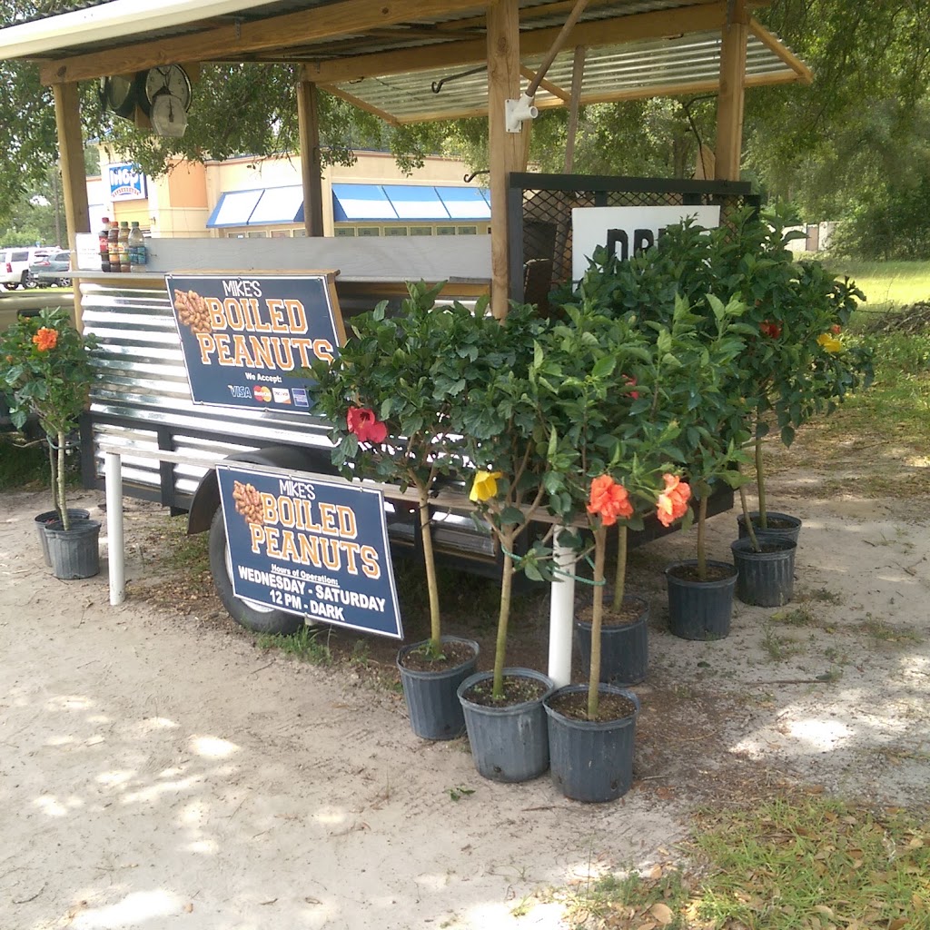 Mikes Boiled Peanuts is Temporarily Closed | 1132 Boone Ave, Kingsland, GA 31548, USA | Phone: (912) 617-1570