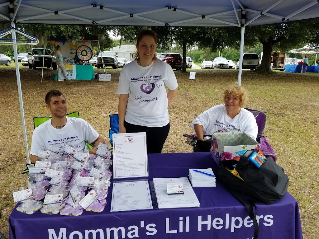 Mommas Lil Helpers Homemakers and Companions LLC | 12057 Terra Ceia Ave, New Port Richey, FL 34654, USA | Phone: (727) 379-9593