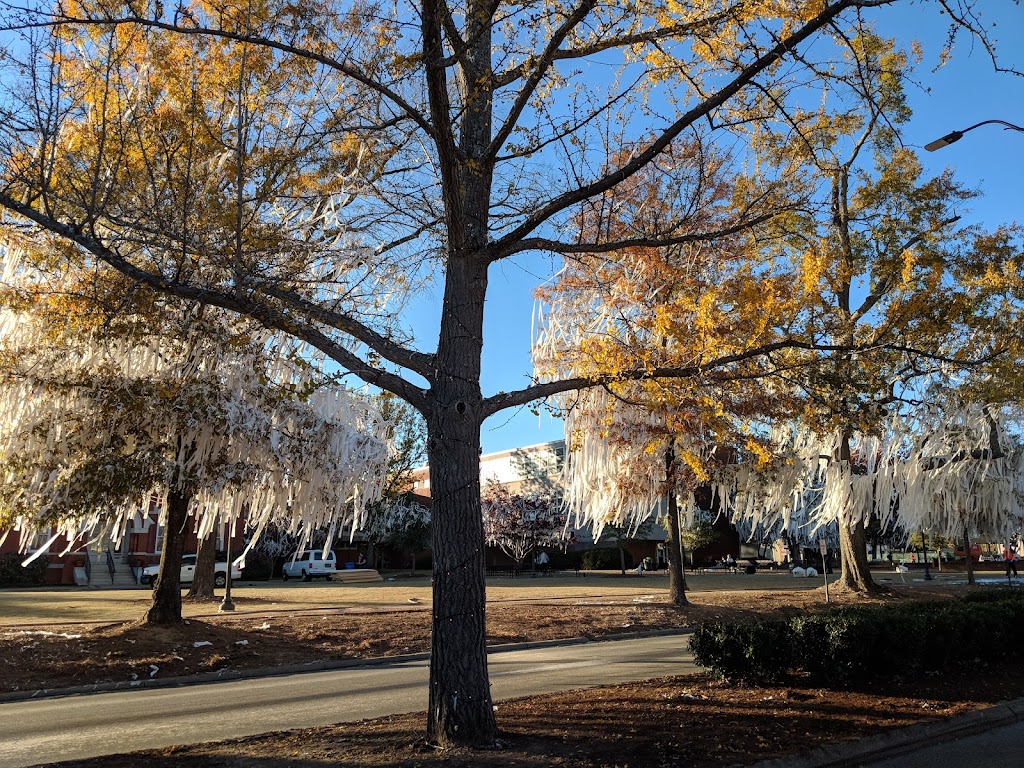 James E. Martin Aquatics Center | 664 Biggio Dr, Auburn, AL 36849, USA | Phone: (334) 844-4142