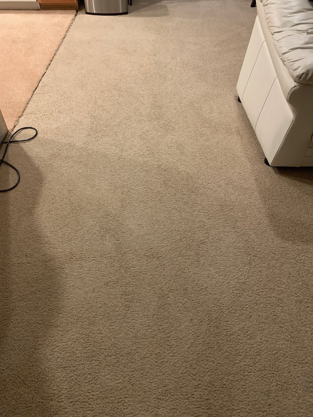 5 Star Carpet Cleaning | 1816 61st St SE #8007, Auburn, WA 98092, USA | Phone: (206) 250-7003