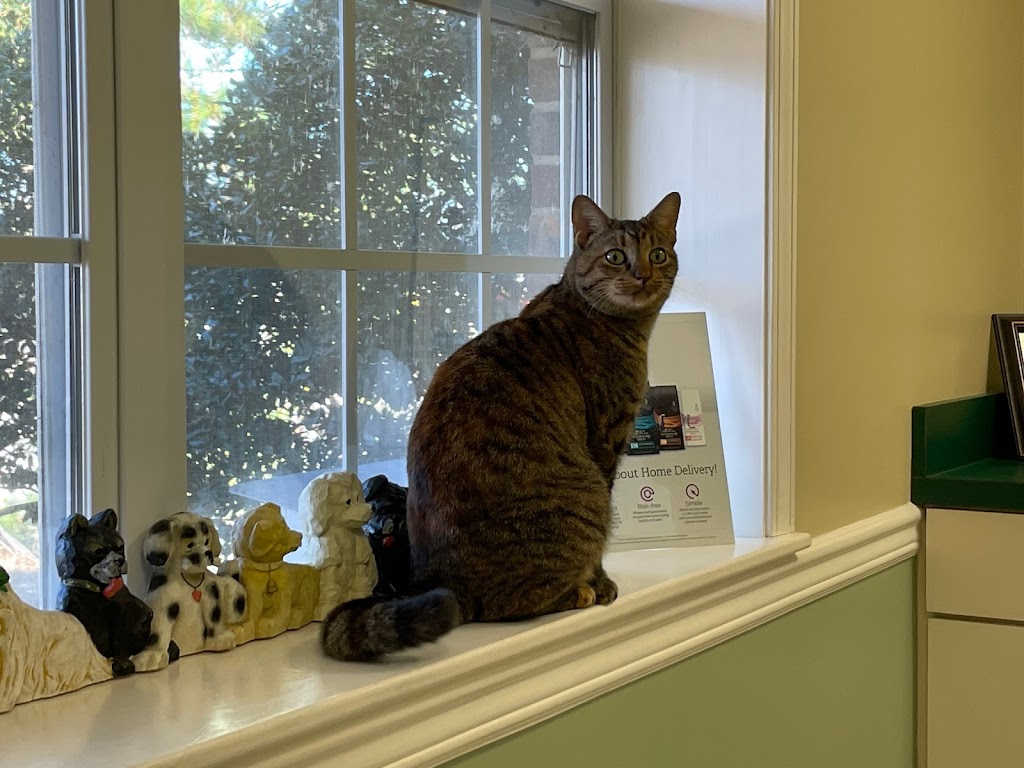 Airport Veterinary Hospital | 1252 George Roy Pkwy, Calera, AL 35040, USA | Phone: (205) 621-0500