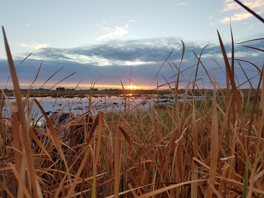 Mendota Wildlife Area Headquarters | 4333 Santa Fe Grade, Mendota, CA 93640, USA | Phone: (559) 655-4645