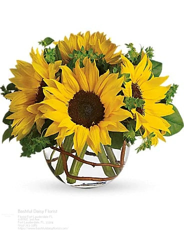 Bashful Daisy Florist | 730 N Andrews Ave, Fort Lauderdale, FL 33311, United States | Phone: (954) 763-3383