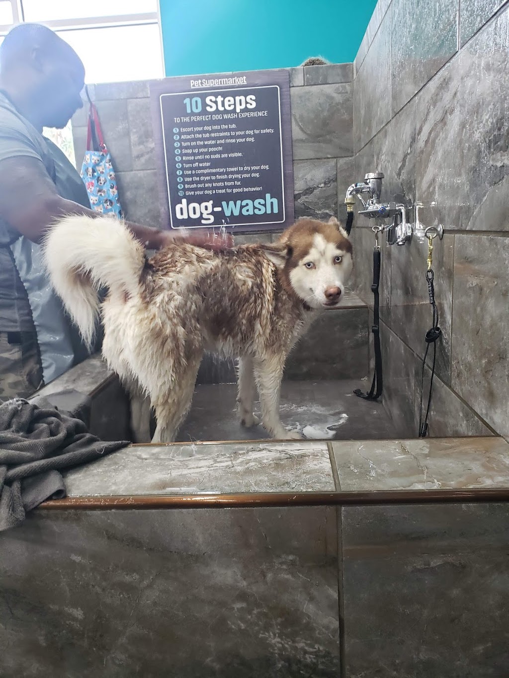 Pet Supermarket | 7067 Collins Rd, Jacksonville, FL 32244, USA | Phone: (904) 855-2930 Pet Supermarket | 7067 Collins Rd, Jacksonville, FL 32244, USA | Phone: (904) 855-2930