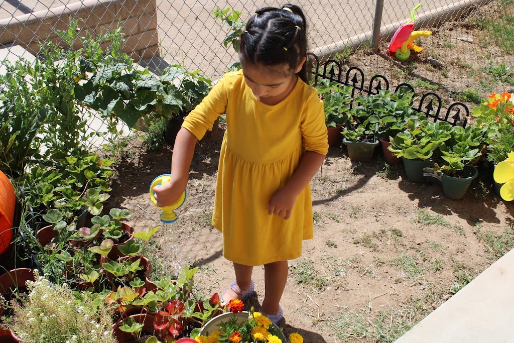 Little Feathers Preschool | 11790 B Pala Mission Cir, Pala, CA 92059, USA | Phone: (760) 742-1997