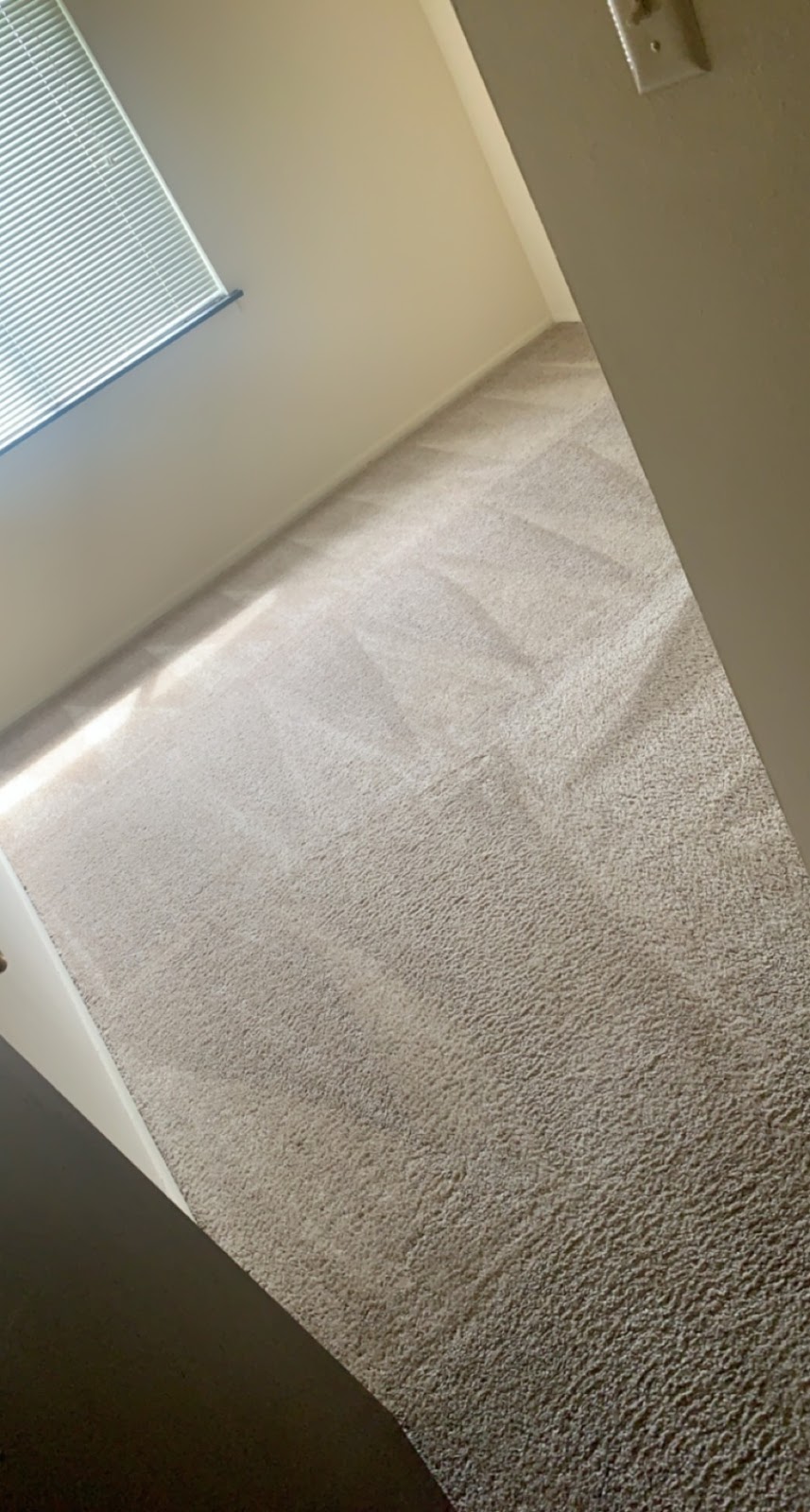 A Pristine Carpet Cleaning | 1001 W Cottonwood Ln, Mt Prospect, IL 60056, USA | Phone: (224) 318-5888