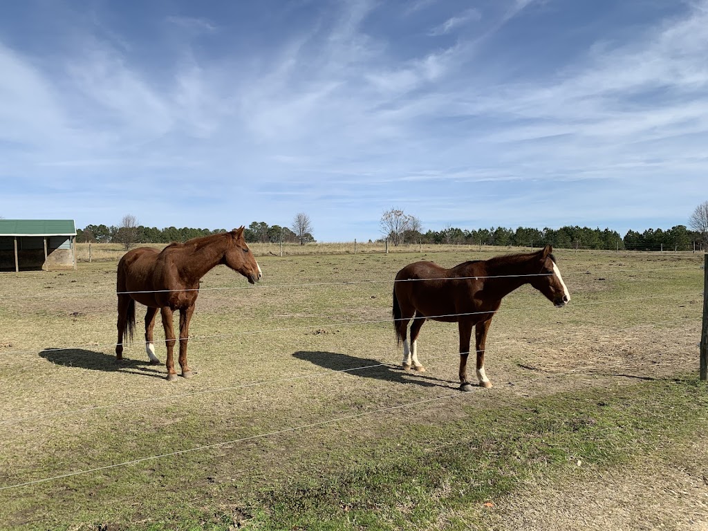 Swift Creek Riding Academy, LLC | 3905 Swift Creek Rd, Smithfield, NC 27577, USA | Phone: (910) 633-9542