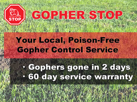 Gopher Stop | 1660 Country Club Dr, Riverside, CA 92506, USA | Phone: (951) 337-4404