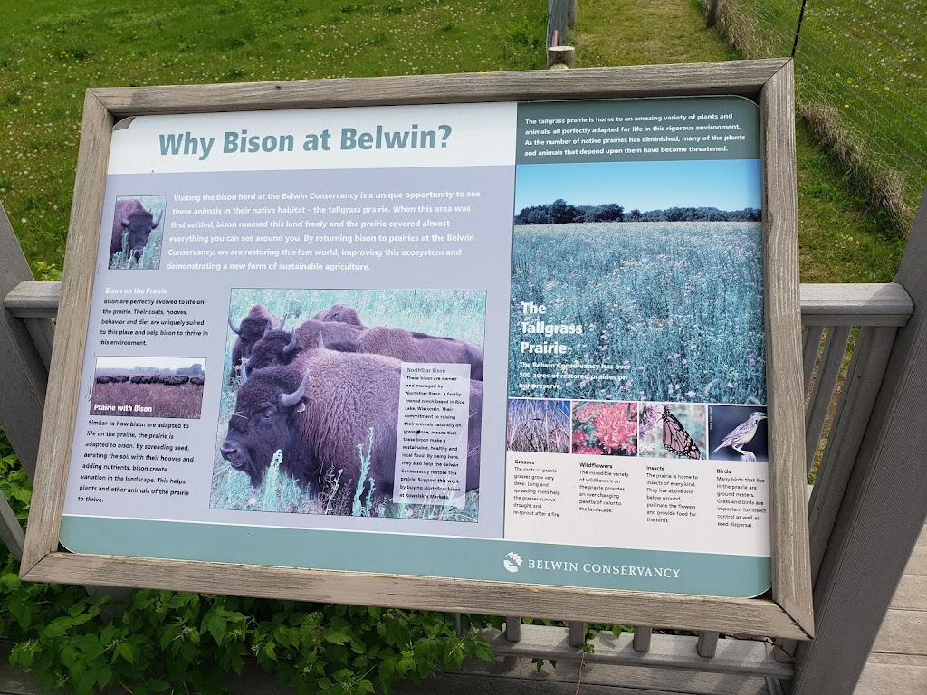 Belwin Conservancy: Bison Observation Platform | 15551 Division St, Afton, MN 55001 | Phone: (651) 436-5189