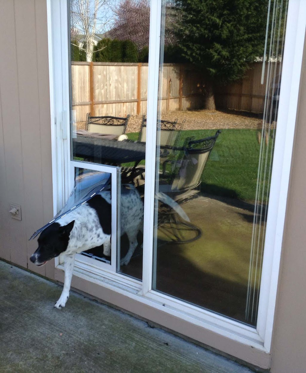 The Glass Guru | 2182 E Pitman Ave, Wentzville, MO 63385, USA | Phone: (636) 251-4018