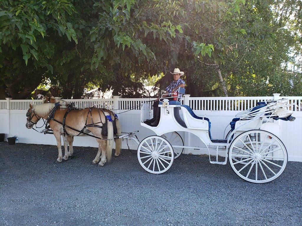 Fancy Ferriage by Horse & Carriage | 3900 Brown Rd, Oakley, CA 94561, USA | Phone: (925) 679-9412