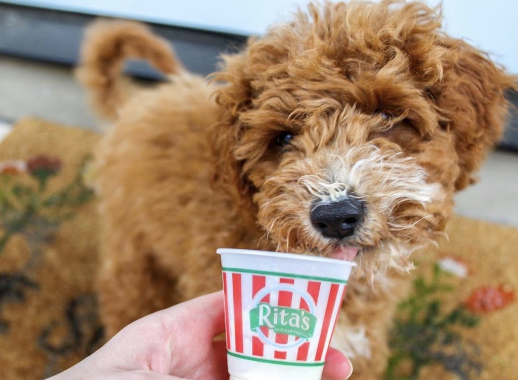 Ritas Italian Ice & Frozen Custard | 3115 US Hwy 98 N Market Square Shopping Center, Lakeland, FL 33805, USA | Phone: (863) 606-5822