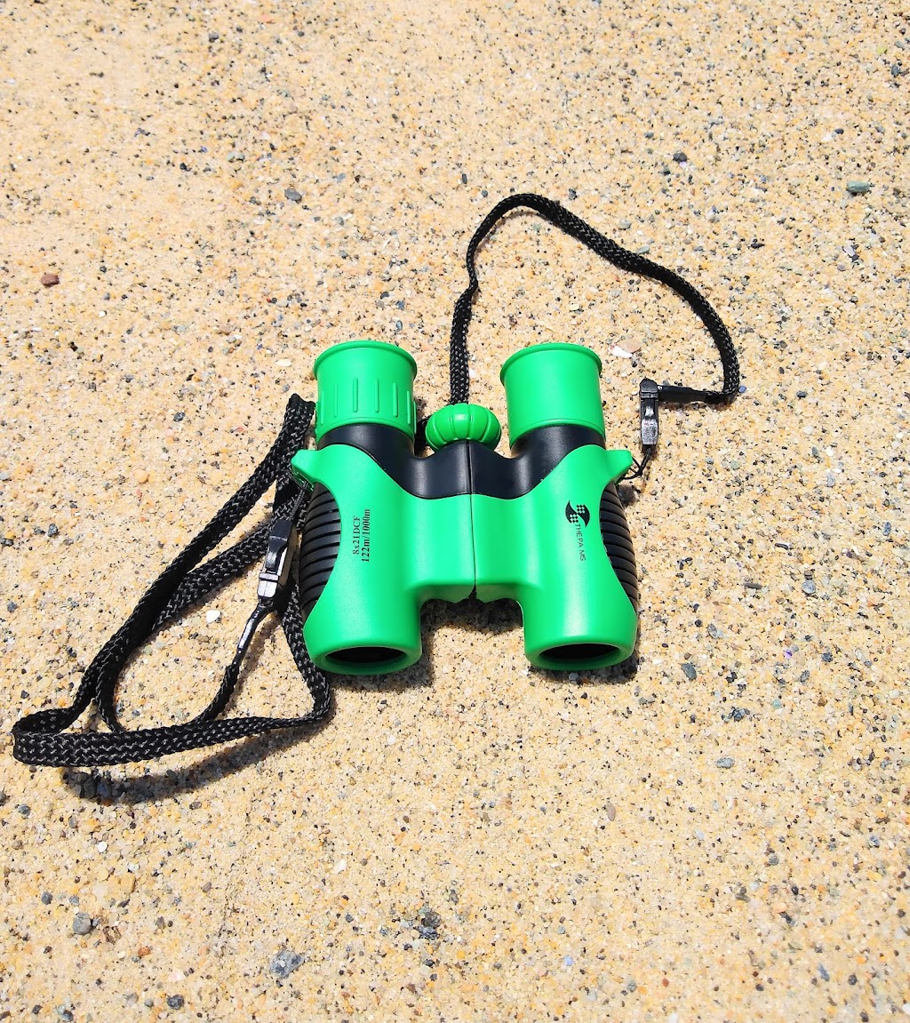 The Palms Int | 8081 Garfield Ave, Huntington Beach, CA 92646, USA | Phone: (949) 302-2153