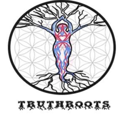 Truthroots LLC Teresa E Blackburn LPC | 136 S Avalon Dr, Wintersville, OH 43953, USA | Phone: (740) 461-4829