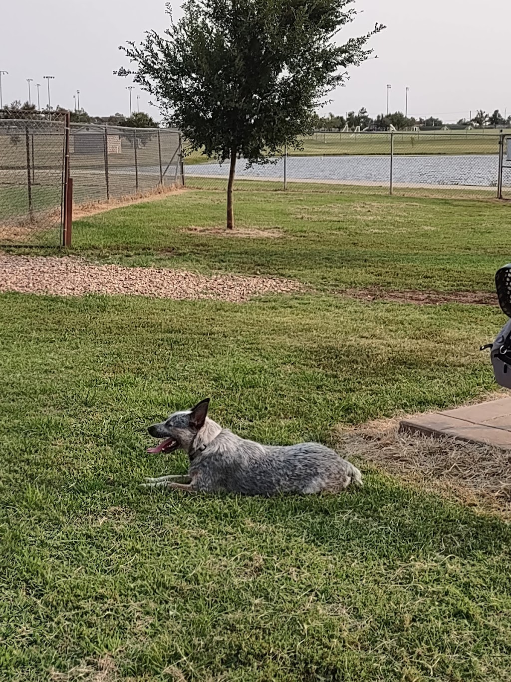 Norman Community Dog Park | 1001 E Robinson St, Norman, OK 73071, USA | Phone: (405) 249-7526