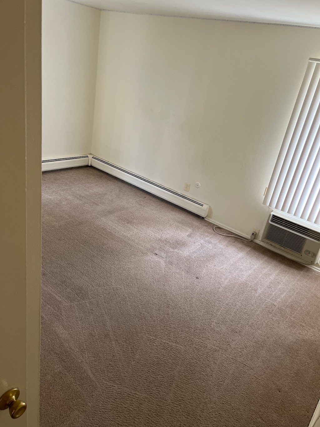 EVER/READY Carpet Cleaning | 267 E Hamlin Rd, Rochester Hills, MI 48307, USA | Phone: (248) 587-7331