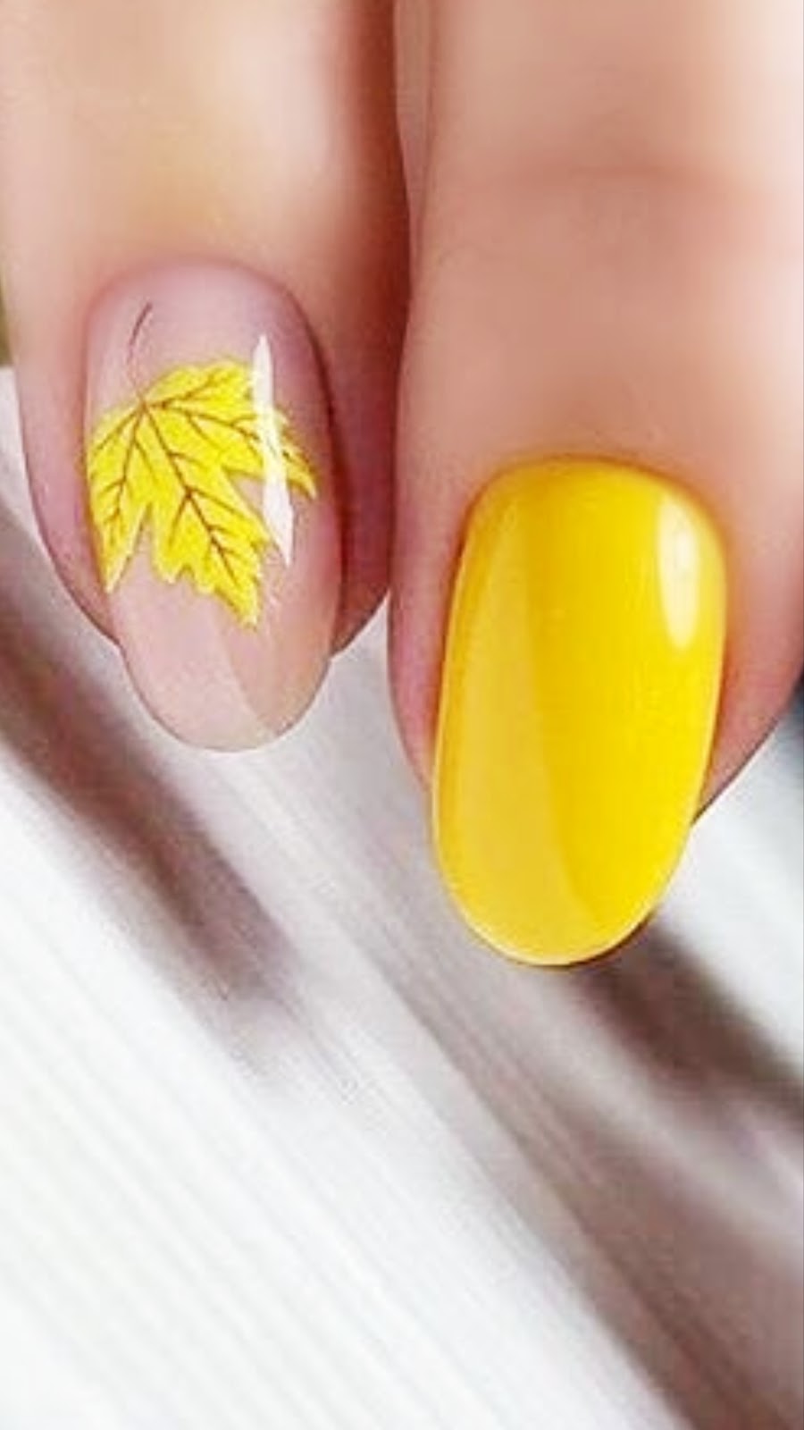 Seasons Nail & Spa | 2727 Hempstead Tpke, Levittown, NY 11756, USA | Phone: (516) 735-1518