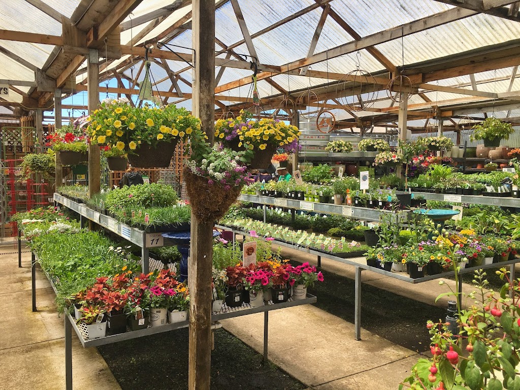 East Bay Nursery | 2332 San Pablo Ave, Berkeley, CA 94702 | Phone: (510) 845-6490