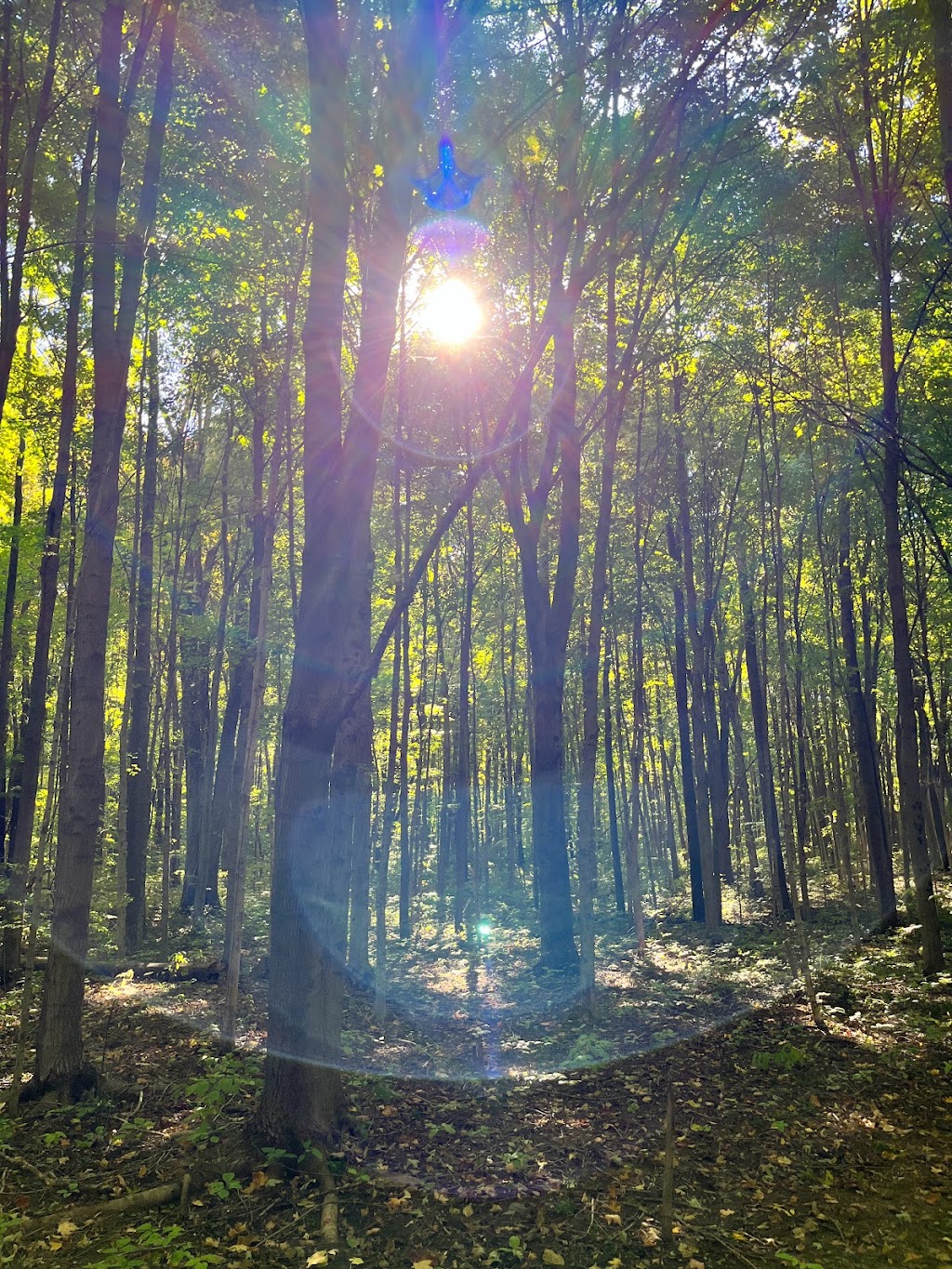 Lost Bridge State Recreation Area | 9214 Lost Bridge Rd W, Andrews, IN 46702, USA | Phone: (260) 468-2125