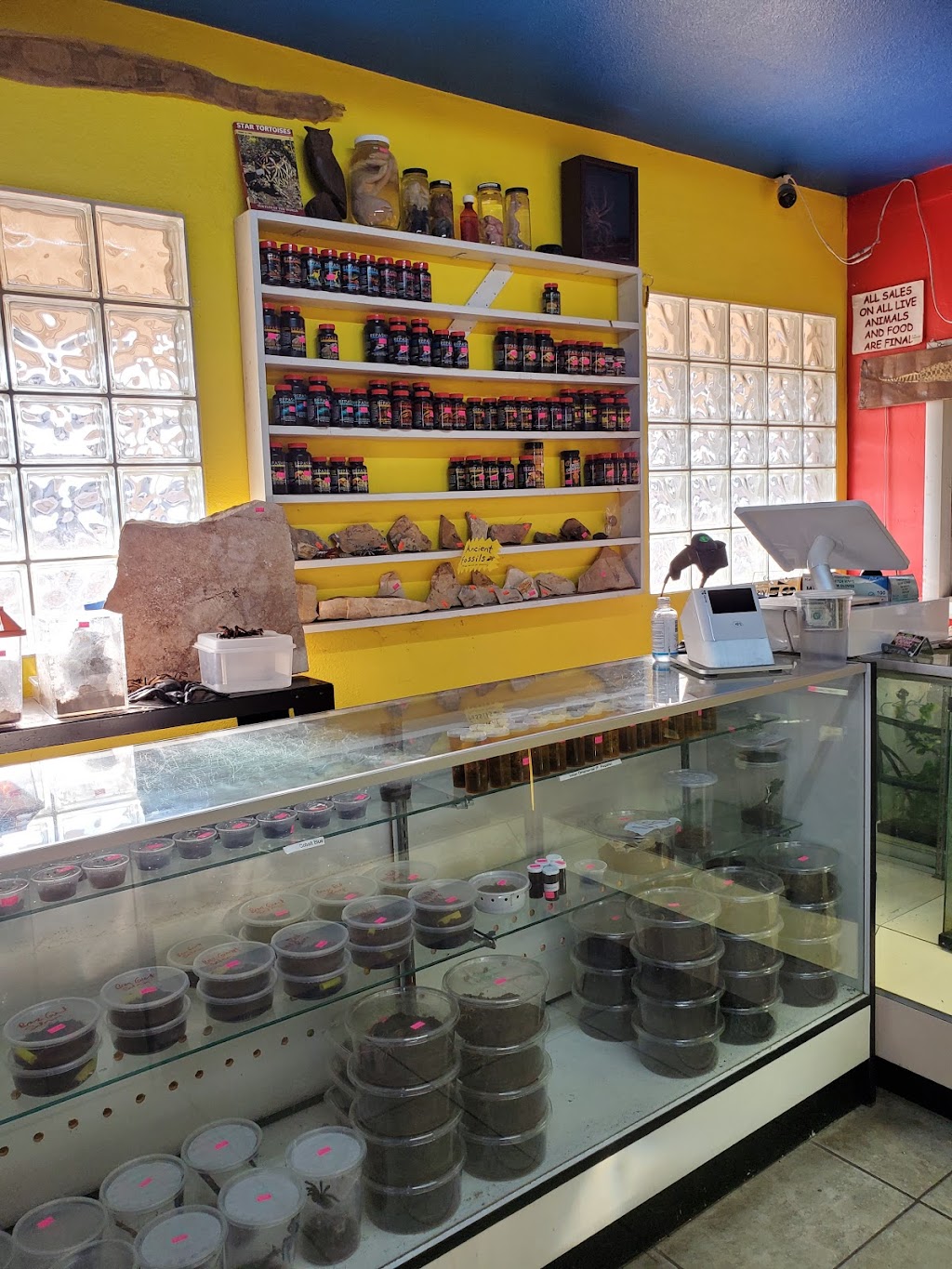 CUSTOM CREATURES PET SHOP | 10727 N 19th Ave, Phoenix, AZ 85029, USA | Phone: (602) 674-8002