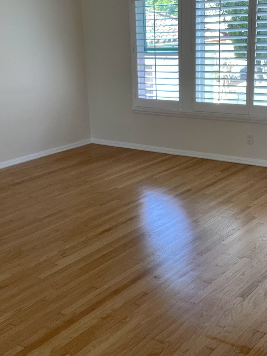 Ez Sparkle Green Carpet Cleaning | 19144 Hamlin St, Reseda, CA 91335, USA | Phone: (310) 744-0887
