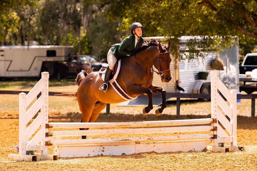 Sammon Equestrian | 5982 225th St E, Bradenton, FL 34211 | Phone: (321) 443-8892