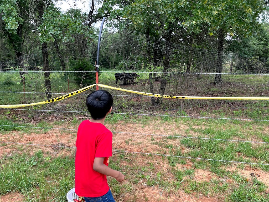 Demases Farm | 496 Co Rd 4756, Boyd, TX 76023, USA | Phone: (940) 577-0203