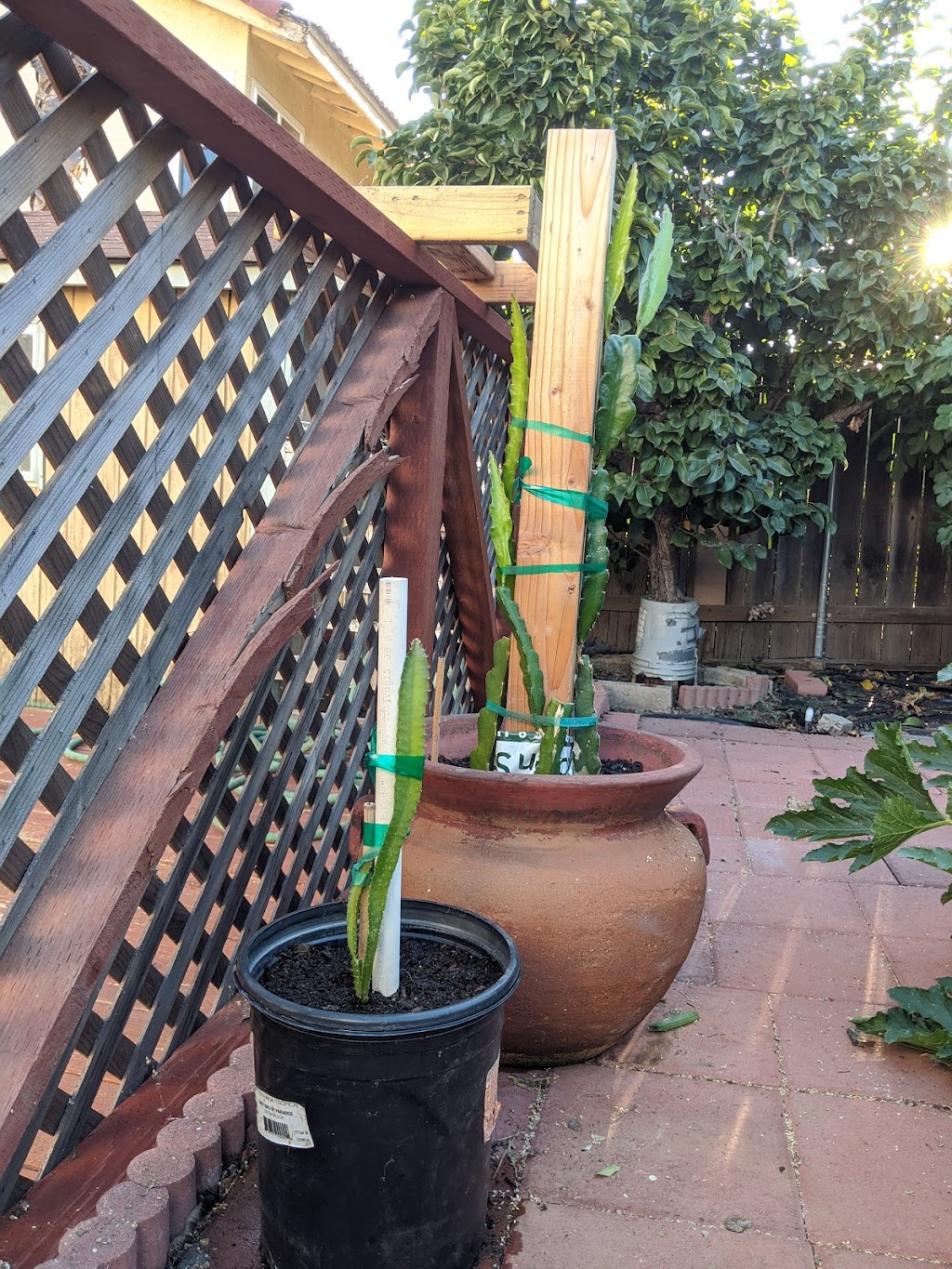 Junior Auto Parts | 1308 E Pomona St, Santa Ana, CA 92705, USA | Phone: (714) 451-8491 Junior Auto Parts | 1308 E Pomona St, Santa Ana, CA 92705, USA | Phone: (714) 451-8491