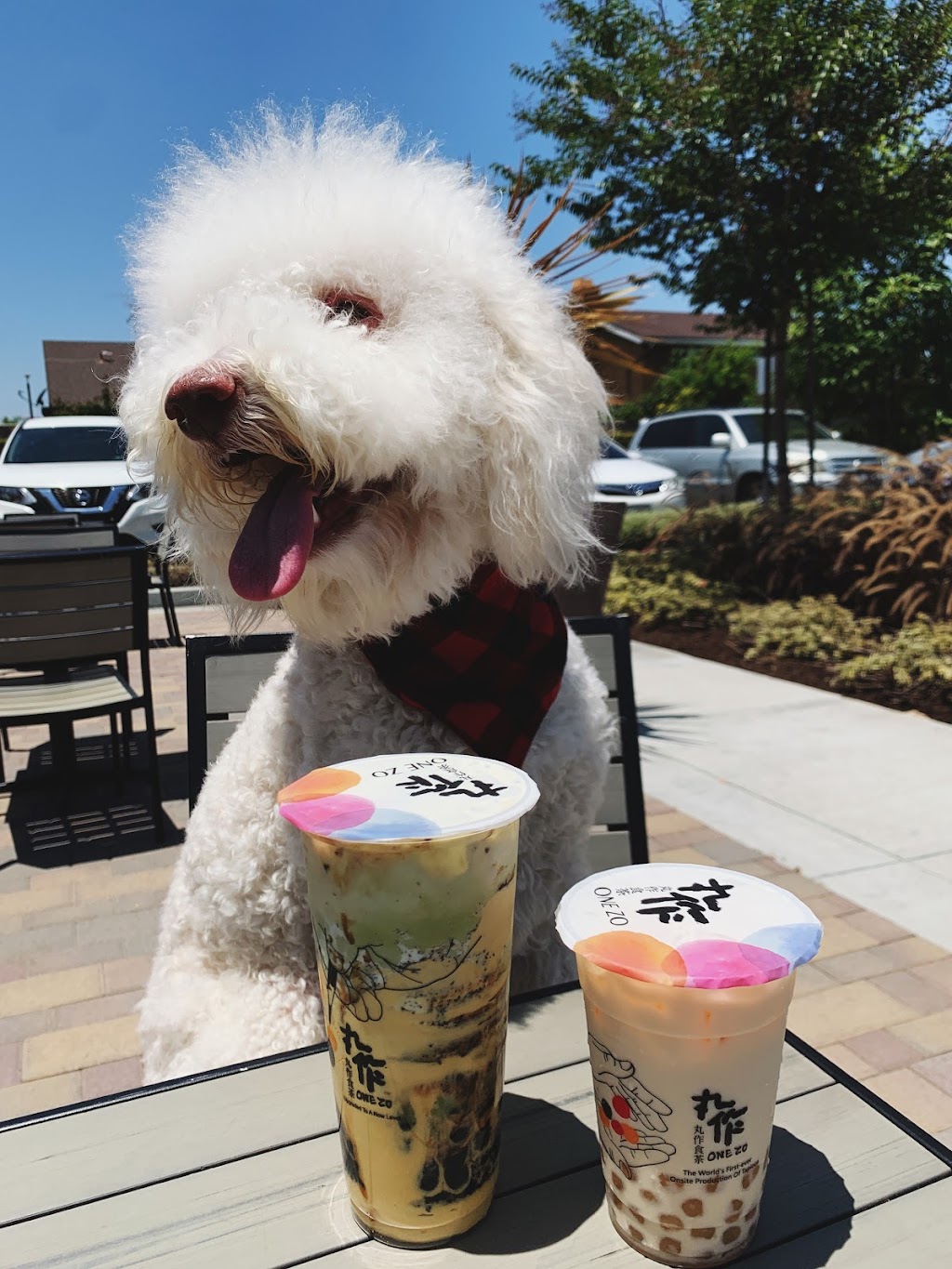 One Zo Boba - Cypress | 9527 Valley View St, Cypress, CA 90630, USA | Phone: (714) 886-2122