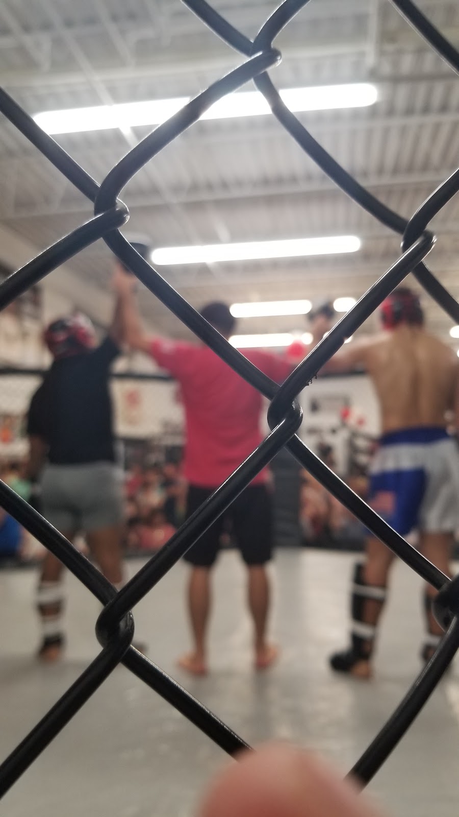GriffonRawl Combat Sports & Fitness | 6090 Pinecone Dr, Mentor, OH 44060, USA | Phone: (440) 358-9371