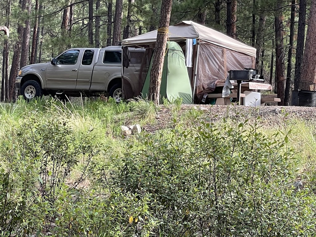 Rose Canyon Campground | Catalina Hwy, Mt Lemmon, AZ 85619, USA | Phone: (520) 749-8700