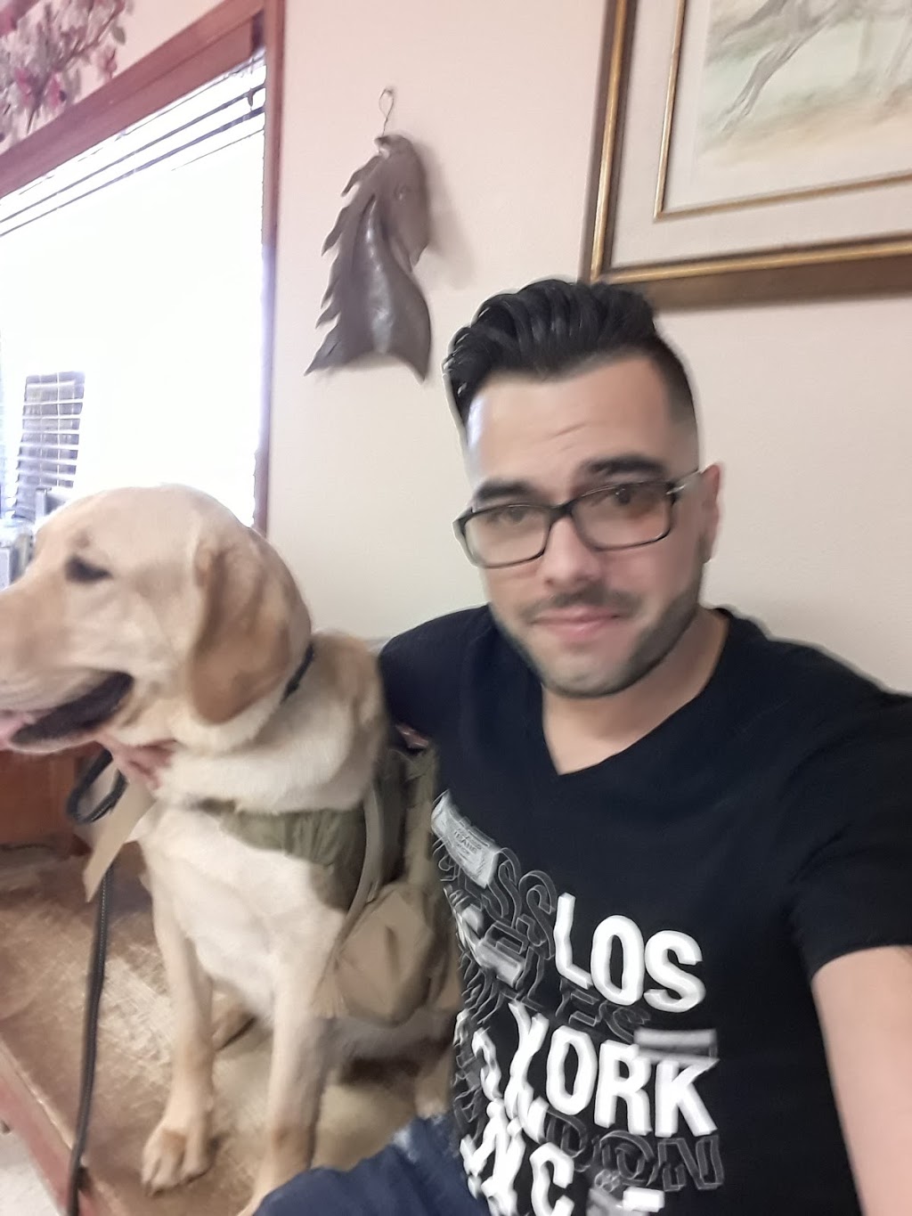 Zarges Animal Clinic | 5820 Doniphan Dr, El Paso, TX 79932, USA | Phone: (915) 584-9471