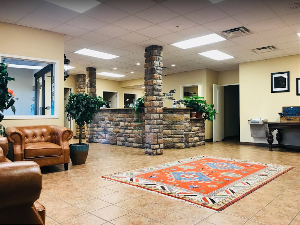 Hills and Dales Veterinary Clinic | 3747 S Dixie Dr, Kettering, OH 45439, USA | Phone: (937) 293-1993