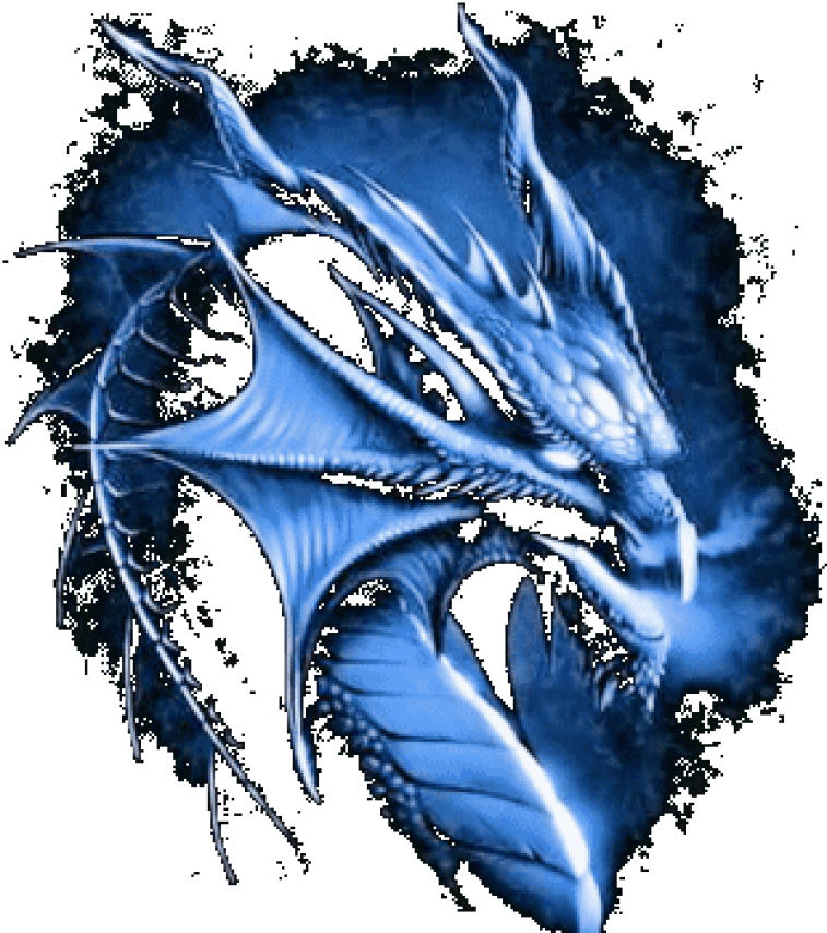 Blue Dragon Training | 26 High Point Cir, Franklin, NJ 07416, USA | Phone: (973) 634-0623