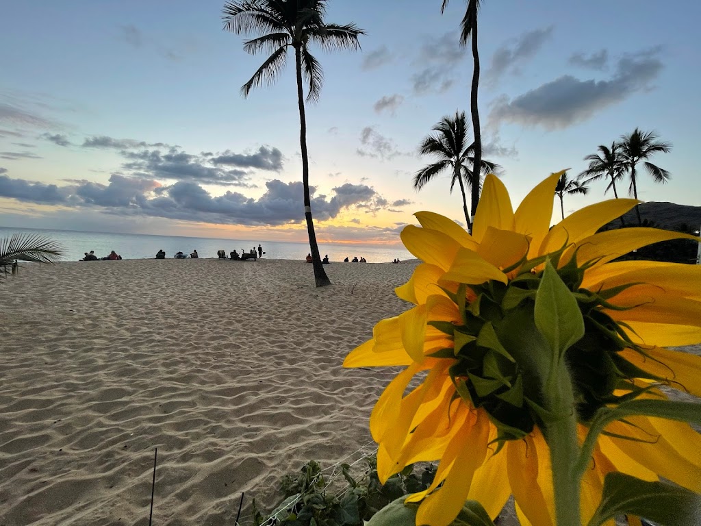 Makaha Beach Cabanas | 84-965 Farrington Hwy, Waianae, HI 96792, USA | Phone: (808) 215-6886