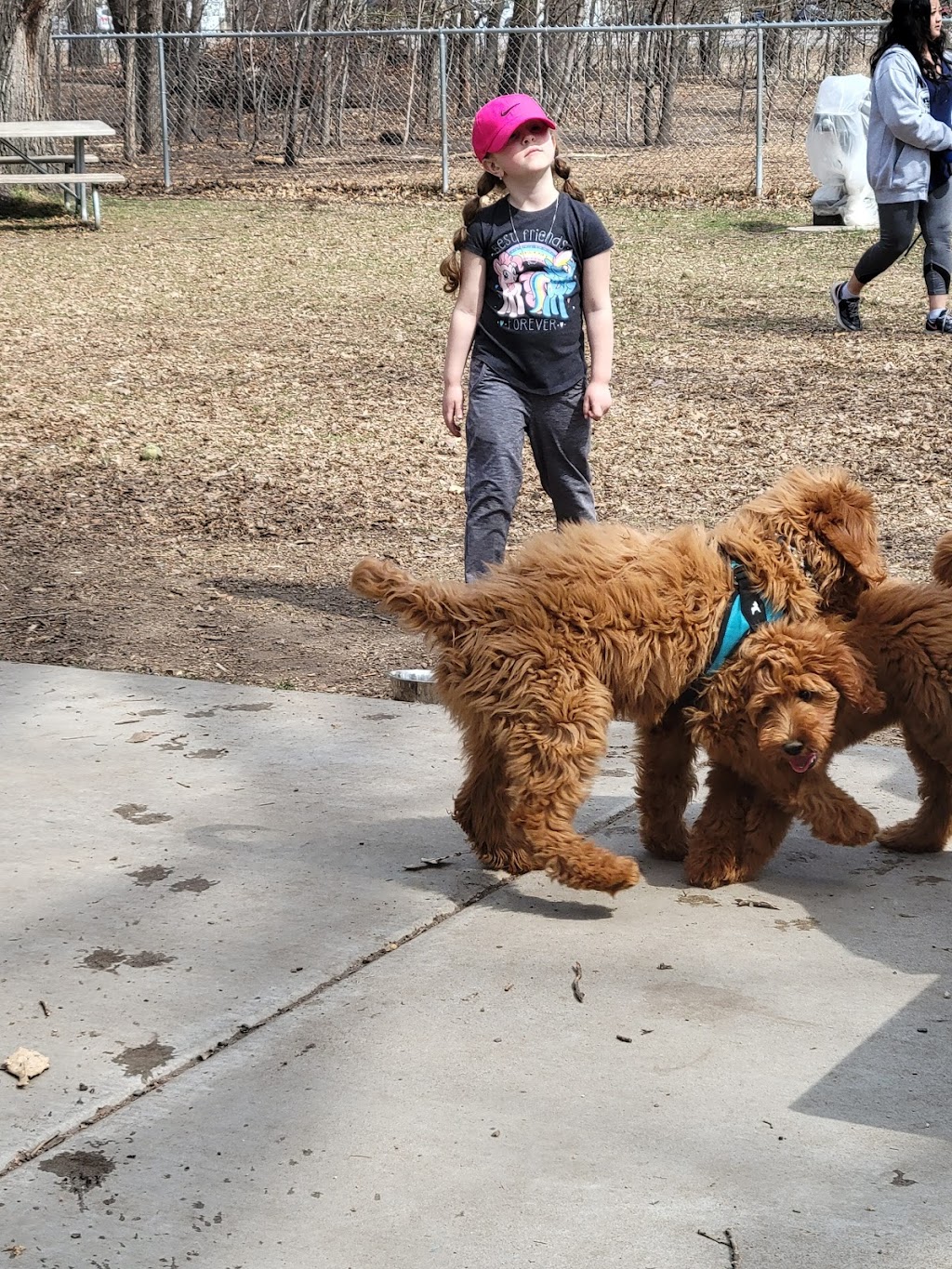 Swanson Dog Park | 9150 Central Ave NE, Blaine, MN 55434, USA | Phone: (763) 785-6164