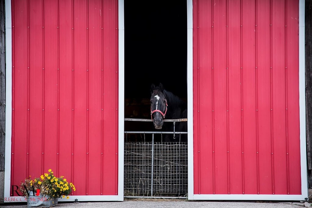 Nugent Veterinary Services | 555 Forks Rd W, Welland, ON L3B 5K9, Canada | Phone: (905) 735-4865