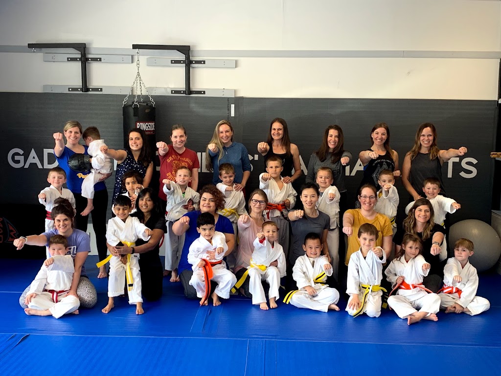 Gaddis Brothers Martial Arts | 9555 Babcock Blvd, Allison Park, PA 15101, USA | Phone: (412) 367-6147