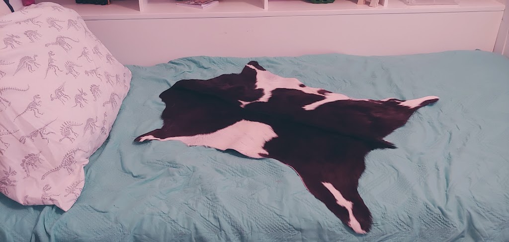 The Florida Native • Antiques & More | 15 S Market Blvd, Webster, FL 33597, USA | Phone: (352) 569-4277