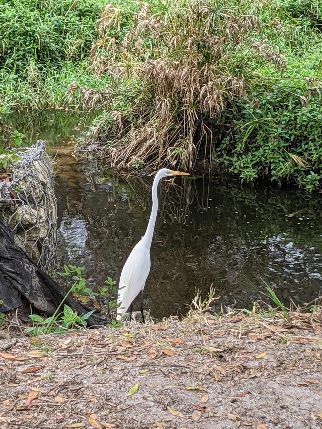 Hammock Park | 1900 San Mateo Dr, Dunedin, FL 34698, USA | Phone: (727) 812-4530