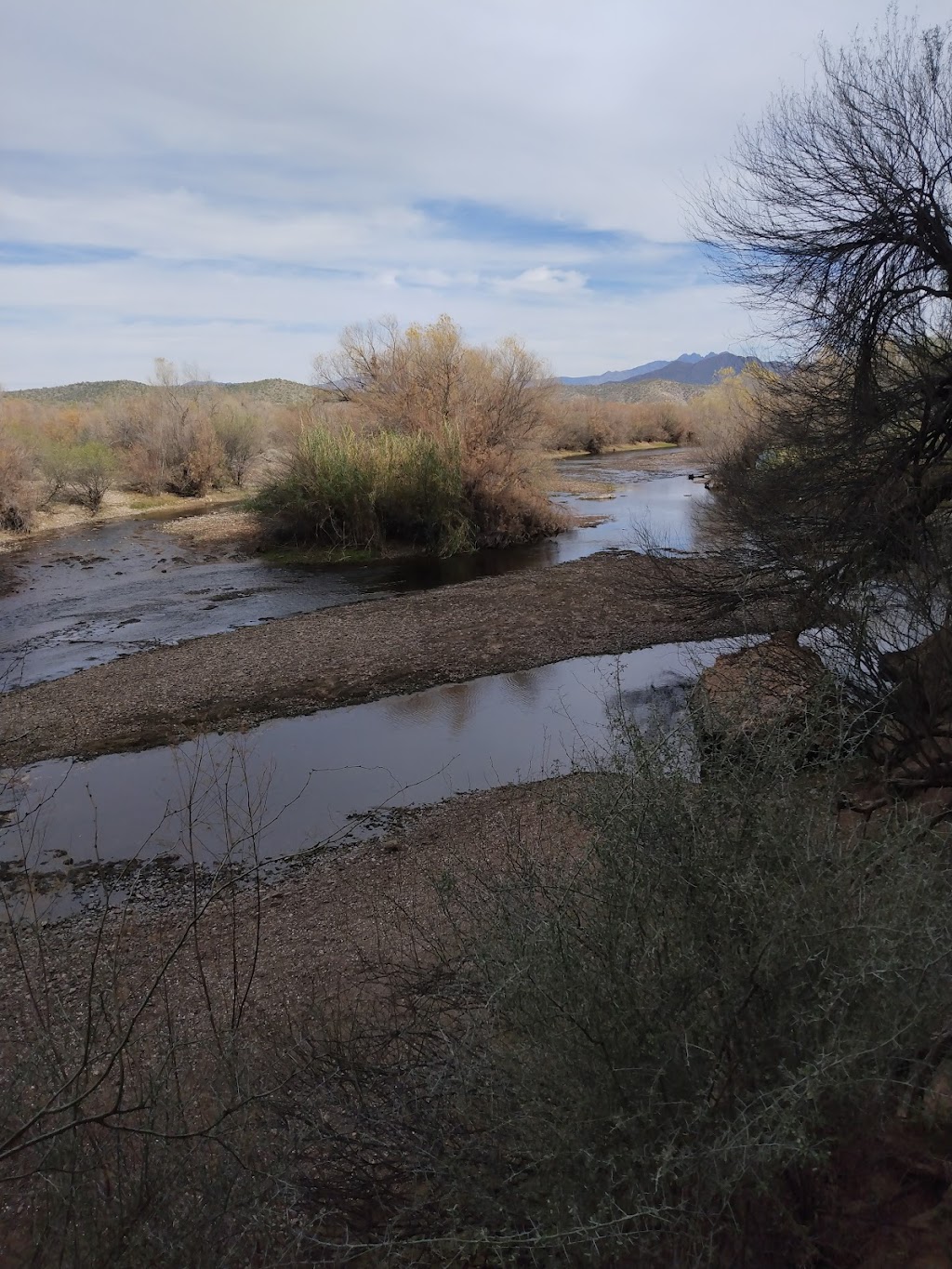 Coon Bluff Recreation Area | Coon Bluff Rd, Mesa, AZ 85215, USA | Phone: (480) 610-3300