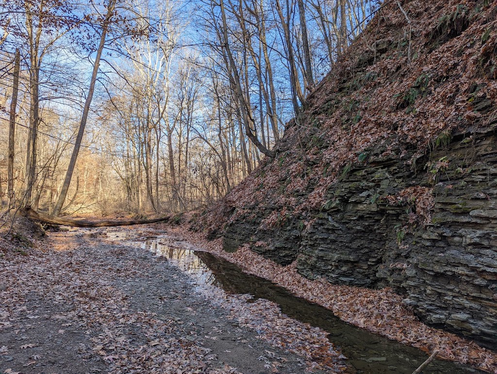 Spring Valley Nature Preserve | 1539 Columbus Rd SW, Granville, OH 43023, USA | Phone: (740) 587-1976